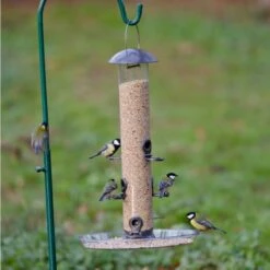 Large Feeder Tray -Bird Supply Store 94061 3 1