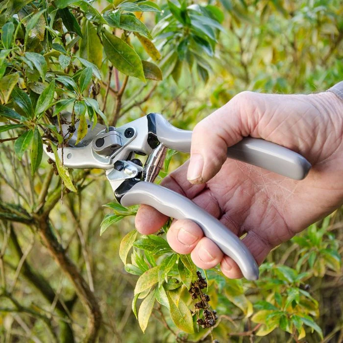 Classic Pruner Classic Pruner -Bird Supply Store 94272 1 2