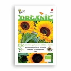 Buzzy® Organic Sunflower - Giant (BIO)