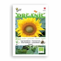 Buzzy® Organic Dwarf Sunflower - Sunspot -Bird Supply Store 94346 2
