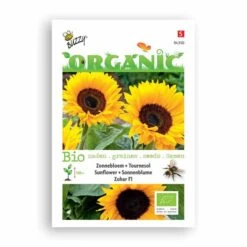 Buzzy® Organic Sunflower - Zohar F1 (BIO)