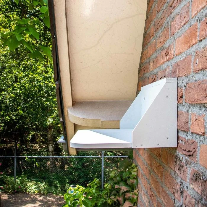 Dropping Board for Swallow and House Martin Nests Dropping Board For Swallow And House Martin Nests -Bird Supply Store 943990120 droppingboard house swallow mestplank huiszwaluw sw low res 4662