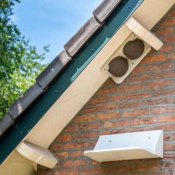 Dropping Board for Swallow and House Martin Nests Dropping Board For Swallow And House Martin Nests -Bird Supply Store 943990120 droppingboard house swallow mestplank huiszwaluw sw low res 4669