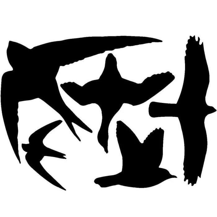Bird Window Stickers Bird Window Stickers -Bird Supply Store 94405 1
