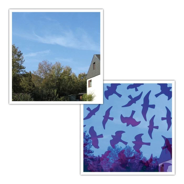 Window Silhouette Stickers Birdsticker® Window Silhouette Stickers Birdsticker® -Bird Supply Store 94408 1