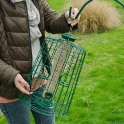 4 Port Bird Seed Feeder With Guardian -Bird Supply Store 94543 2 3 1