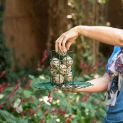 Bird Supply Store -Bird Supply Store 9455001212