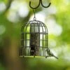 Milan Guardian Bird Seed Feeder