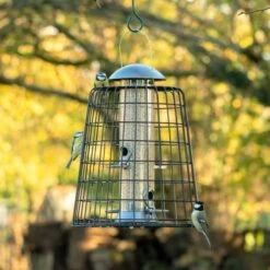 Adventurer 4 Port Bird Seed Feeder With Guardian