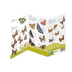 National Trust Butterfly ID Chart -Bird Supply Store 972420121 dv02