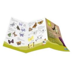 National Trust Butterfly ID Chart -Bird Supply Store 972420121 dv03