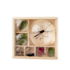 Huckleberry Insect Box 2 Huckleberry Insect Box -Bird Supply Store 973290119 1