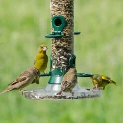 Bird Feeder Seed Mix -Bird Supply Store 98088 15105