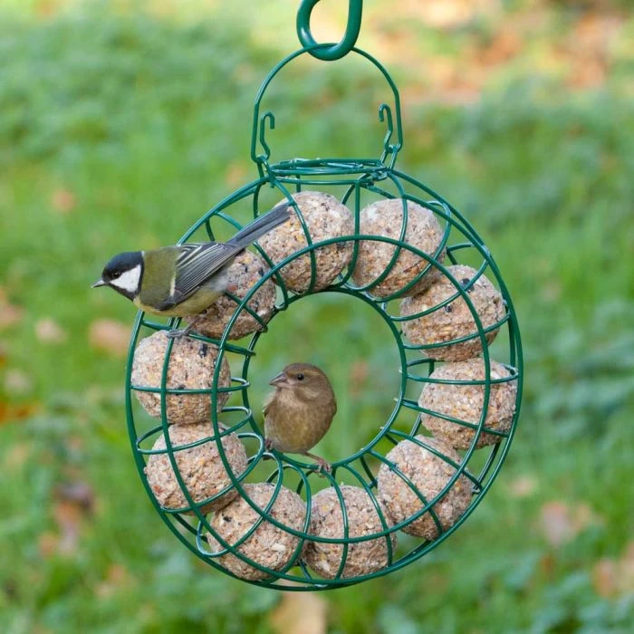 Fat Balls with Mealworms - 6 pack Fat Balls With Mealworms - 6 Pack -Bird Supply Store 98226 1