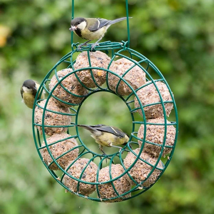 Ultimate Fat Balls with Insects - 6 pack Ultimate Fat Balls With Insects - 6 Pack -Bird Supply Store 98226b