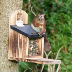 Victoria Squirrel Feeder -Bird Supply Store 98367