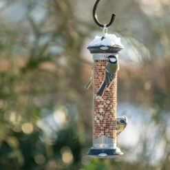 National Trust Apollo Peanut Feeder 4 National Trust Apollo Peanut Feeder -Bird Supply Store apollo peanut feeder