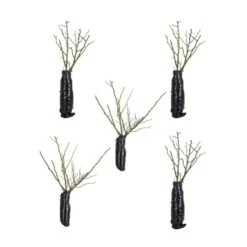 Bee Perfect Rose 'Bijenweelde®' Bicolour - (5x Bare Root) -Bird Supply Store bundle of 5 1 1