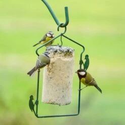 National Trust Seed Peanut Cake (1 Litre) -Bird Supply Store energiekuchen mit saatkoernern 10040 4