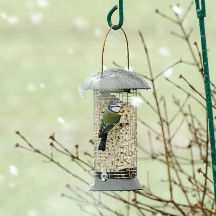 Adventurer Peanut Feeder Adventurer Peanut Feeder -Bird Supply Store erdnusssaule maximum 24cm 33025 1