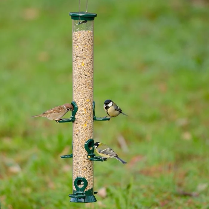 National Trust 6 Port Metal Seed Feeder National Trust 6 Port Metal Seed Feeder -Bird Supply Store es 31050 1