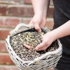 Bird Feeder Seed Mix