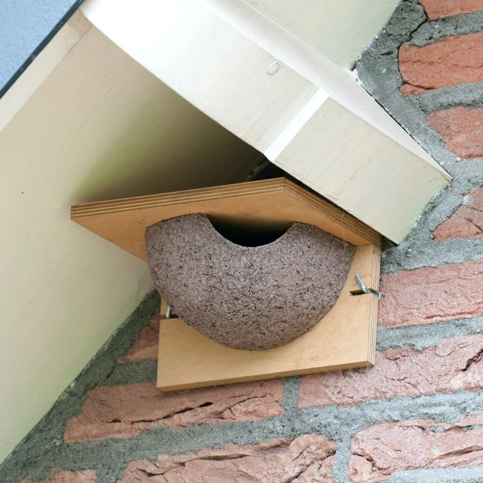 House Martin Nest (Right Single) House Martin Nest (Right Single) -Bird Supply Store kunstnest huiszwaluw enkel ingang rechts 90050 5 9