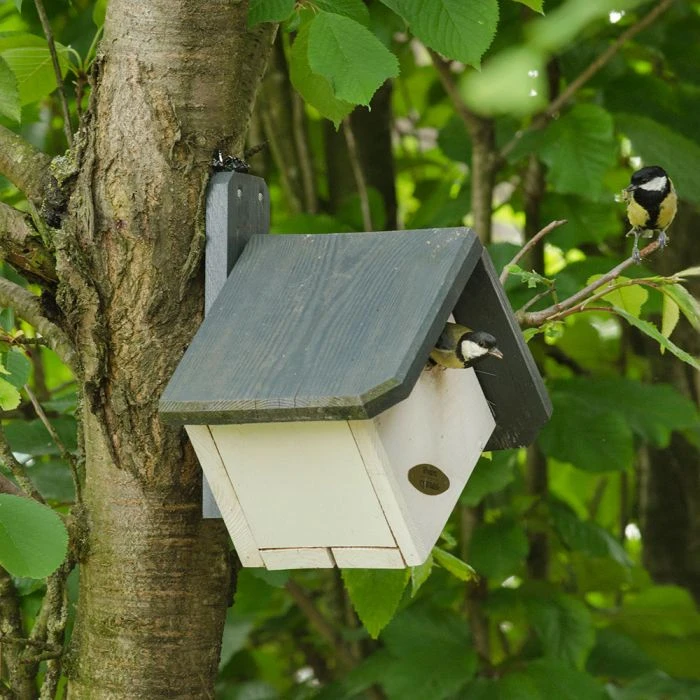 Zurich 32mm Nest Box Zurich 32mm Nest Box -Bird Supply Store nistkasten zurich 90781 2