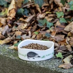 Premium Hedgehog Food -Bird Supply Store premium hedgehog food 190340120 938430119 jvg 2433 2 1