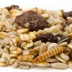 Best Robin Blend Bird Seed Mix -Bird Supply Store rotkehlchen delikatessen 12058 1