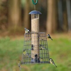 Guardian For Adventurer Seed Feeders -Bird Supply Store silobeschermer adventurer vbn 94549 02