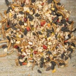 Vitality Bird Seed Mix